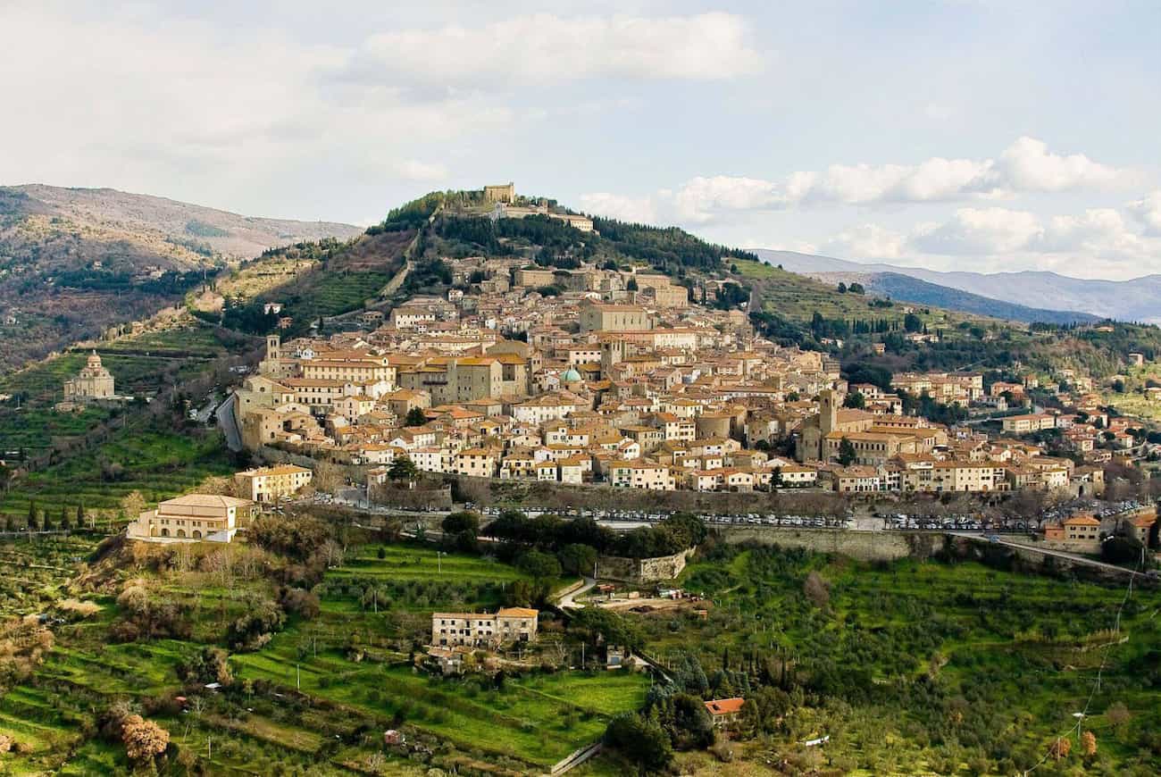 Panoramic View